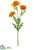 Aster Mum Spray - Orange - Pack of 12