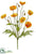 Poppy Bush - Orange - Pack of 12