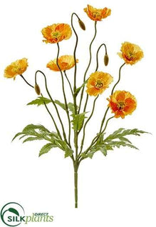 Poppy Bush - Orange - Pack of 12