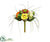 Ranunculus, Hydrangea, Succulent Bouquet - Yellow Orange - Pack of 6
