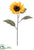 Sunflower Spray - Yellow Orange - Pack of 24