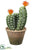 Silk Plants Direct Column Cactus - Green Orange - Pack of 6