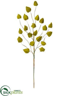 Chinese Lantern Spray - Green Orange - Pack of 12