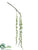 Silk Plants Direct String of Pearls Spray - Green - Pack of 12