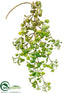 Silk Plants Direct Jade Hanging Pick - Green - Pack of 24