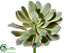 Silk Plants Direct Succulent Stem - Green - Pack of 6