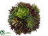 Silk Plants Direct Succulent Ball - Green Burgundy - Pack of 6