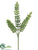 Donkey Tail Spray - Green - Pack of 12