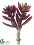 Silk Plants Direct Senecio Pick - Burgundy - Pack of 24