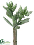 Silk Plants Direct Senecio Pick - Green Gray - Pack of 24