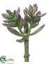 Silk Plants Direct Senecio Pick - Green Mauve - Pack of 24