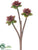 Silk Plants Direct Sedum Pick - Burgundy Green - Pack of 8