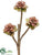 Silk Plants Direct Sedum Pick - Green Burgundy - Pack of 8