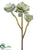 Succulent Spray - Green Gray - Pack of 4
