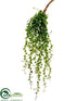 Silk Plants Direct String of Pearl Pick - Green - Pack of 12