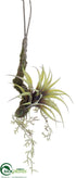Silk Plants Direct Tillandsia Hanging Branch - Green Light - Pack of 12