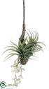 Silk Plants Direct Tillandsia Hanging Branch - Green - Pack of 12