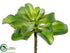 Silk Plants Direct Sedum Plant - Green - Pack of 12