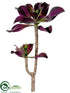 Silk Plants Direct Sedum Plant - Plum Green - Pack of 12