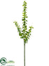 Silk Plants Direct Money Plant Spray - Green - Pack of 12