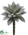 Succulent - Gray Flocked - Pack of 24
