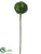 Sedum Stem - Green - Pack of 36