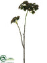 Silk Plants Direct Sedum Spray - Green Burgundy - Pack of 12