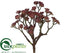 Silk Plants Direct Sedum Bush - Burgundy Green - Pack of 12