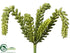 Silk Plants Direct Hanging Sedum Pick - Green - Pack of 12