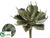 Succulent Pick - Green Frosted - Pack of 12