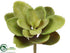 Silk Plants Direct Sedum Pick - Green Burgundy - Pack of 24