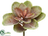 Silk Plants Direct Sedum Pick - Green Mauve - Pack of 24