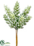 Silk Plants Direct Sedum Pick - Green Gray - Pack of 36