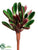 Sedum Pick - Green Red - Pack of 12