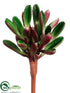 Silk Plants Direct Sedum Pick - Green Red - Pack of 12