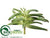Mini Succulent Plant - Green - Pack of 6
