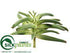 Silk Plants Direct Mini Succulent Plant - Green - Pack of 6