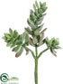 Silk Plants Direct Succulent Plant - Green Frosted - Pack of 6