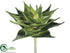 Silk Plants Direct Succulent Plant - Green Two Tone - Pack of 6
