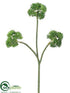 Silk Plants Direct Sedum Spray - Green - Pack of 24