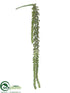 Silk Plants Direct Nertera Berry Pick - Green - Pack of 12