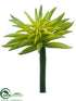 Silk Plants Direct Starburst Succulent Pick - Green - Pack of 12