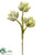 Silk Plants Direct Sedum Pick - Green Gray - Pack of 12