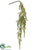 String of Pearls Hanging Pick - Green - Pack of 12
