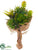 Succulent Bouquet - Green - Pack of 12