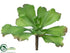 Silk Plants Direct Ruffle Sedum Spray - Green - Pack of 12