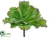 Silk Plants Direct Ruffle Sedum Spray - Green - Pack of 12