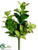 Succulent Plant - Green - Pack of 12