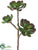 Silk Plants Direct Echeveria Pick - Green - Pack of 6