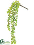 Silk Plants Direct Sedum Vine - Green - Pack of 12